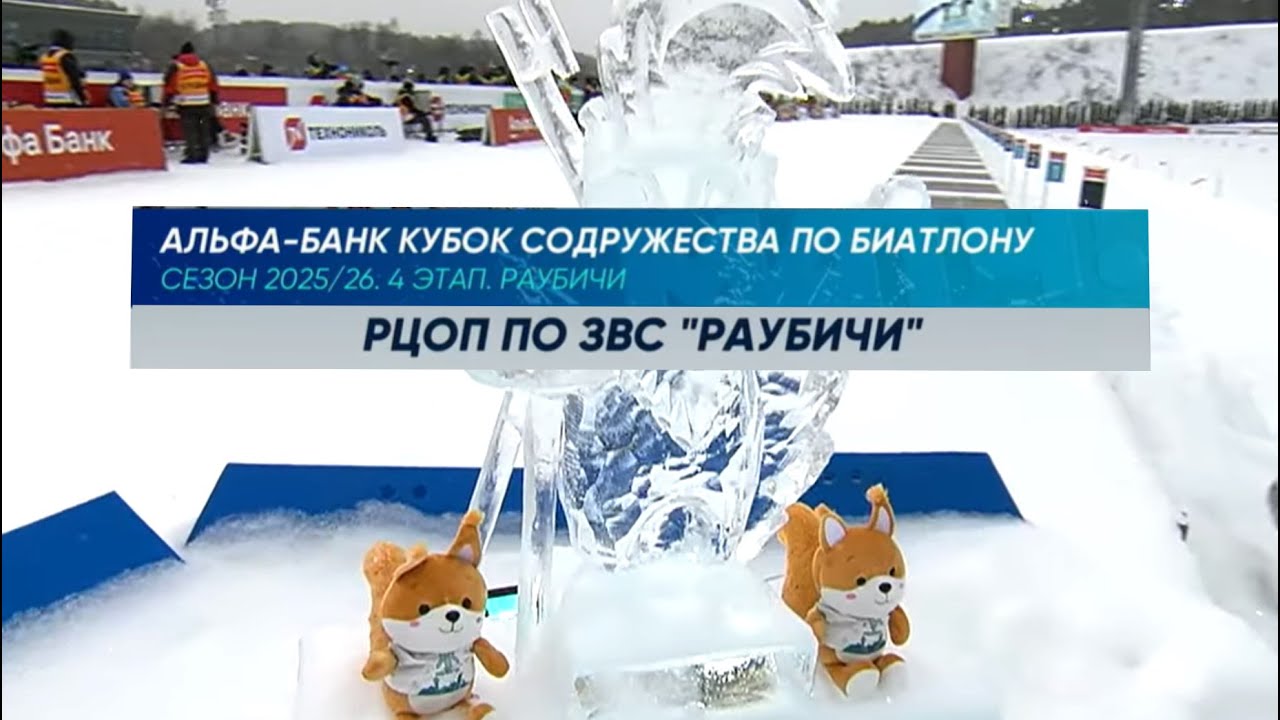 АЛЬФА-БАНК КУБОК СОДРУЖЕСТВА ПО БИАТЛОНУ, 4 ЭТАП, Гонка преследования 12,5 км Мужчины