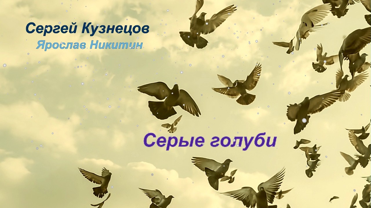 Серые голуби