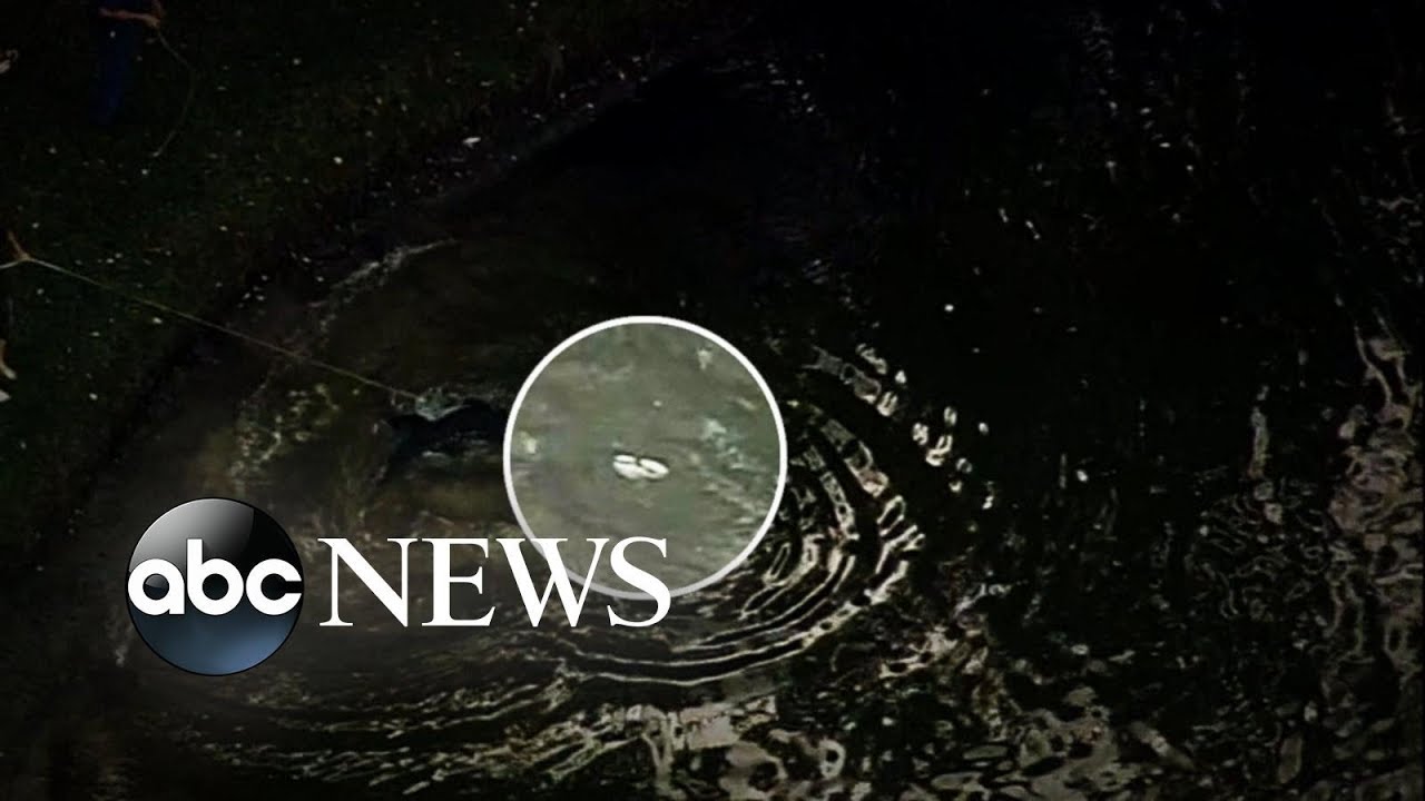 Gator spotted with shoe in its mouth after biting Florida man