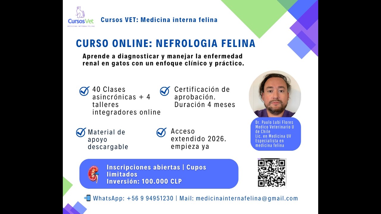 Fluidoterapia en gatos | Curso Nefrología Felina – Dr. Paulo Lubi