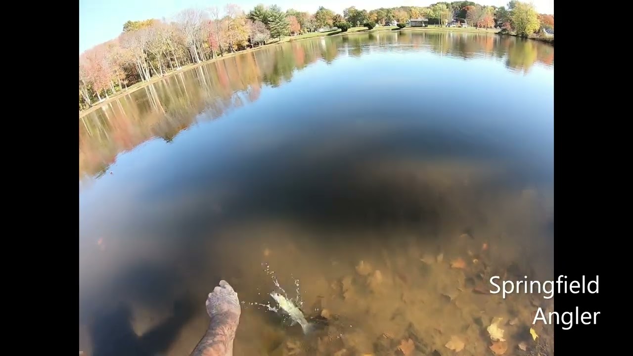 Strike King MiniKing SpinnerbaitReview
