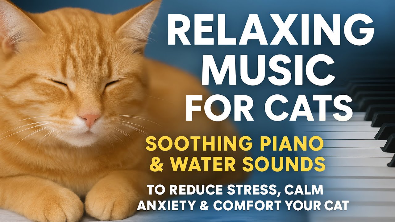 Relaxing Music for Cats • Soothing Piano & Water Sounds, Reduce Stress & Anxiety & Comfort Your Cat