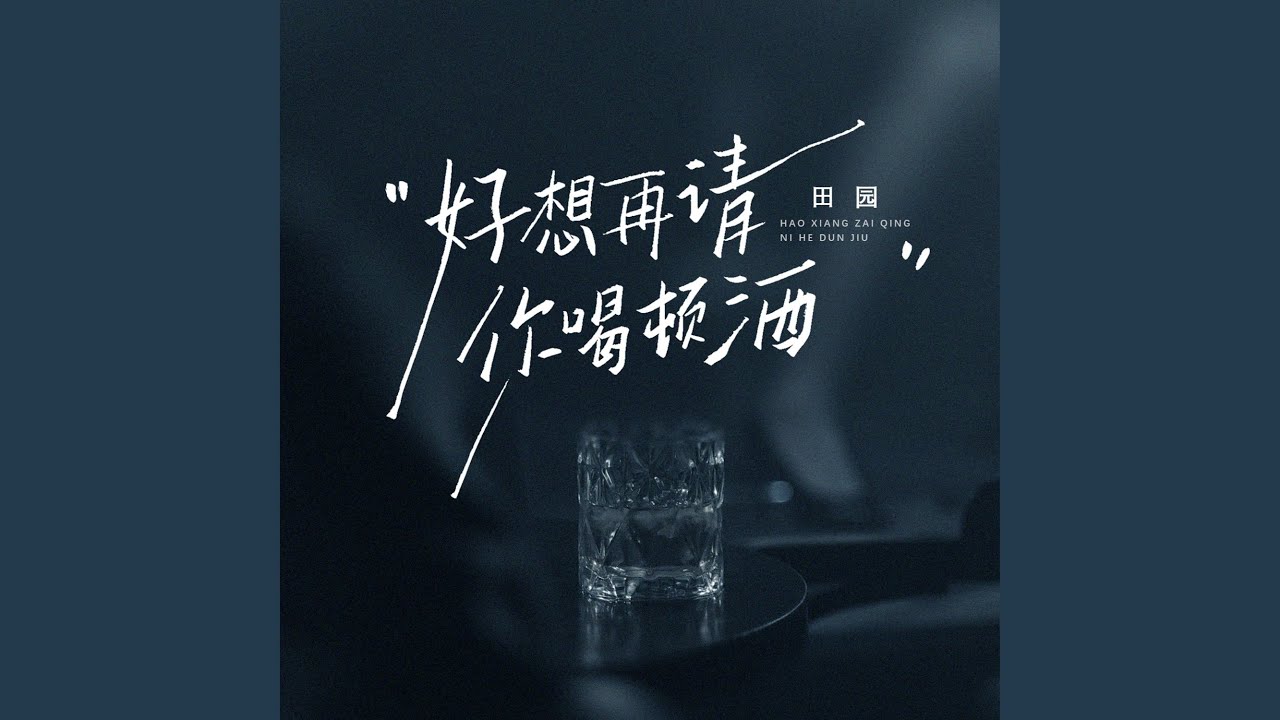 好想再请你喝顿酒 (扎心版)