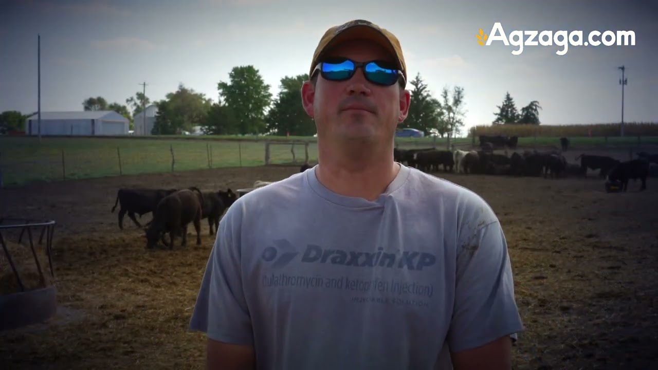 How to Calm Your Calves & Improve Cattle Operations | Dr. Brock Hanel on FerAppease Bovine