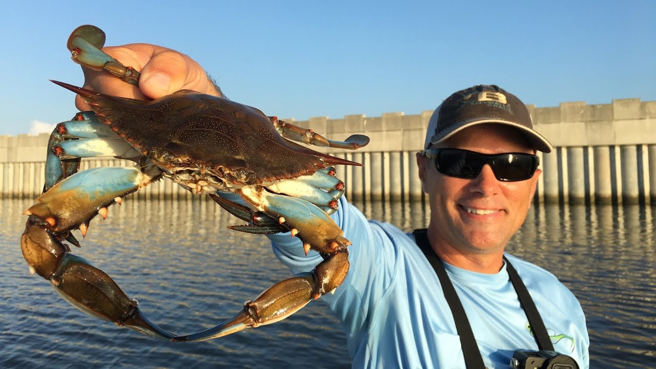 Hot crabbing action with amazing underwater footage