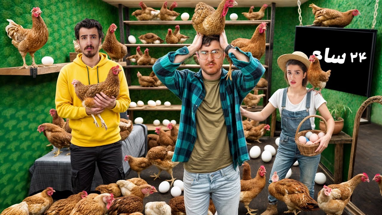 چی میشه اگه با ۵۰ تا مرغ تو اتاق زندانی شی🐓🤯