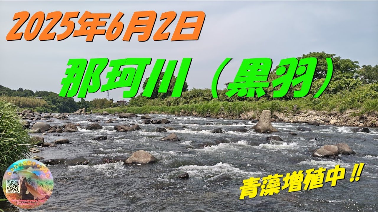 2025年6月2日　那珂川（黒羽）