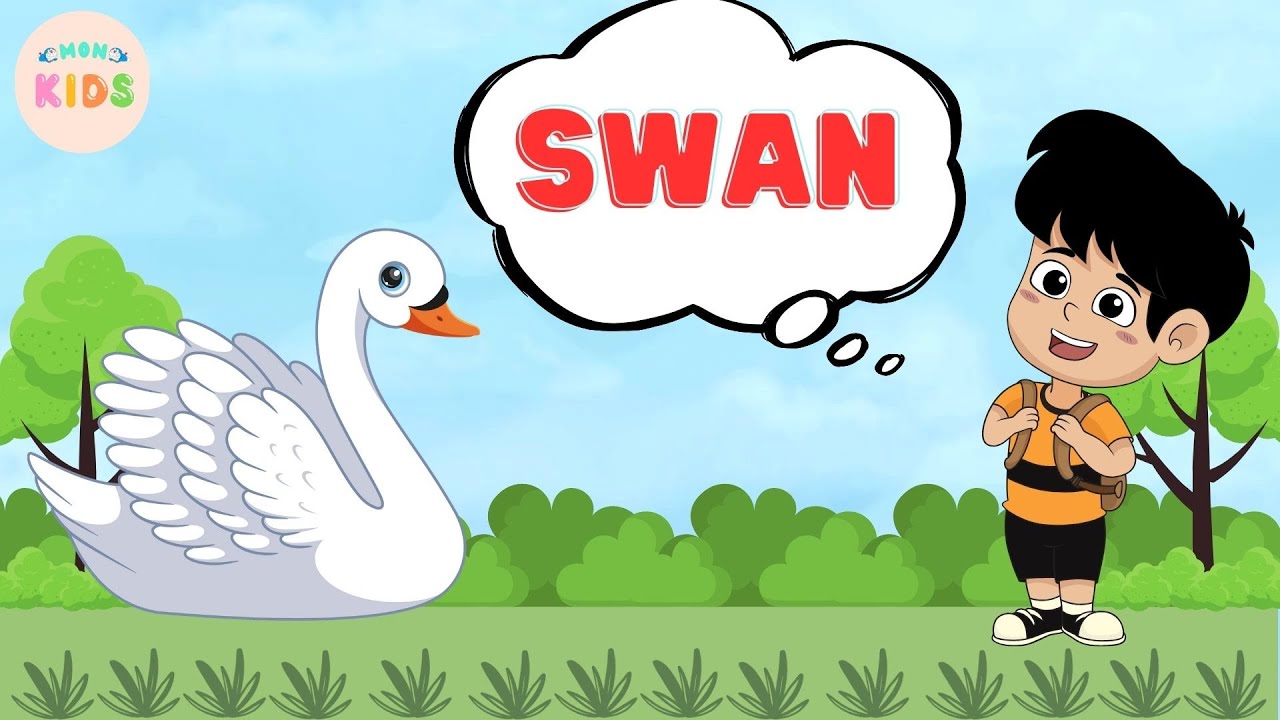 Swan Facts For Kids 😊 Learn All About Swans | MON Kids