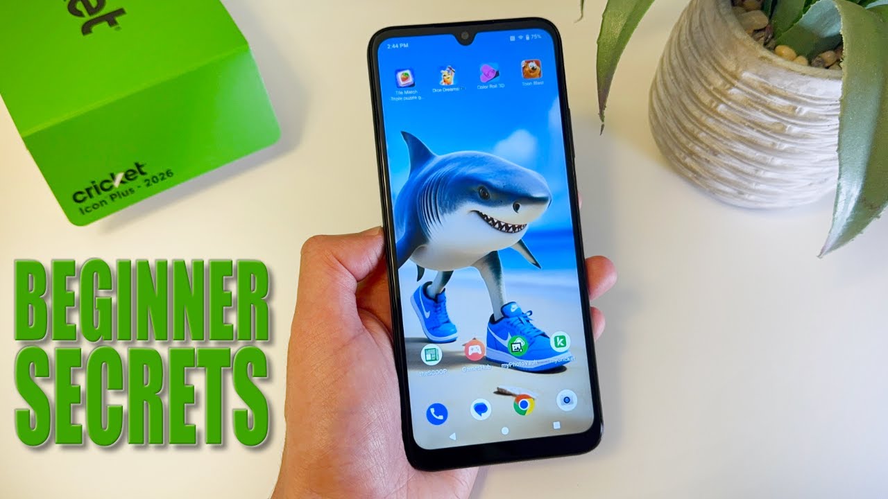 Cricket Icon Plus — руководство для начинающих