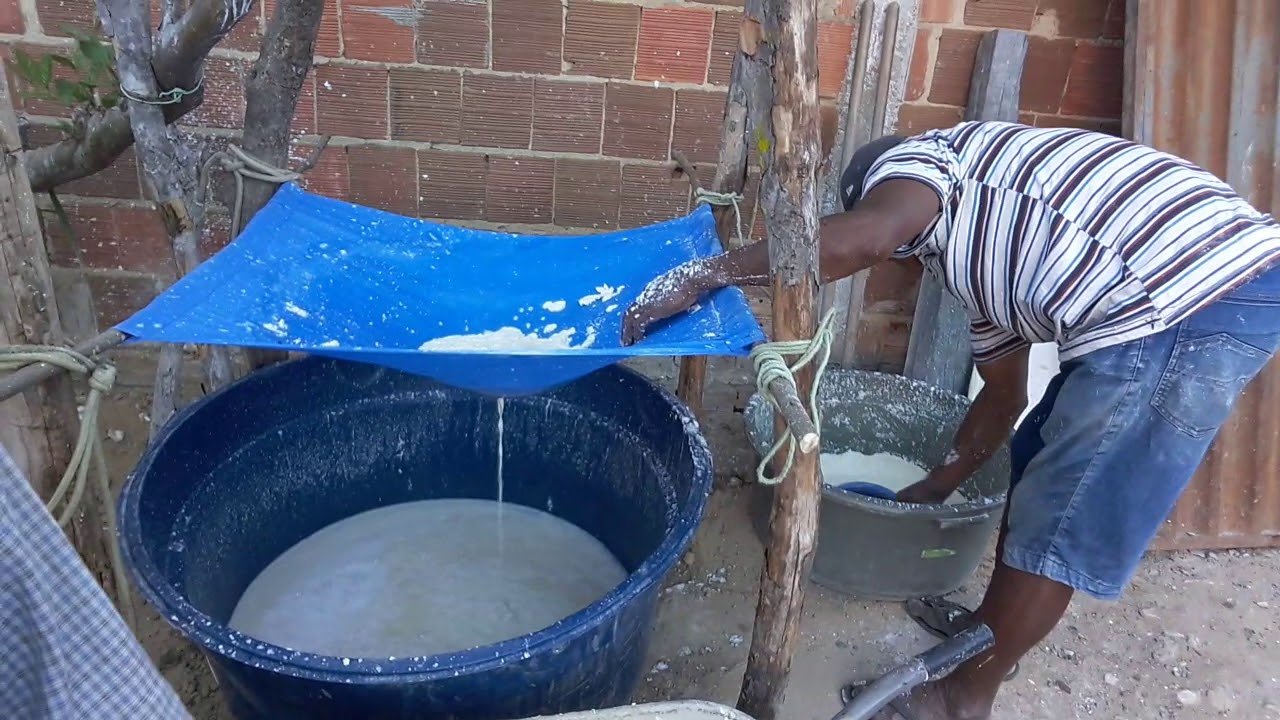 Tirando a goma ou fécula da mandioca veja o processo.
