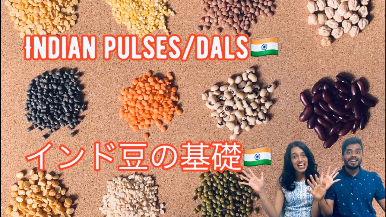 Introduction to Indian Pulses |【基礎編】インドの豆