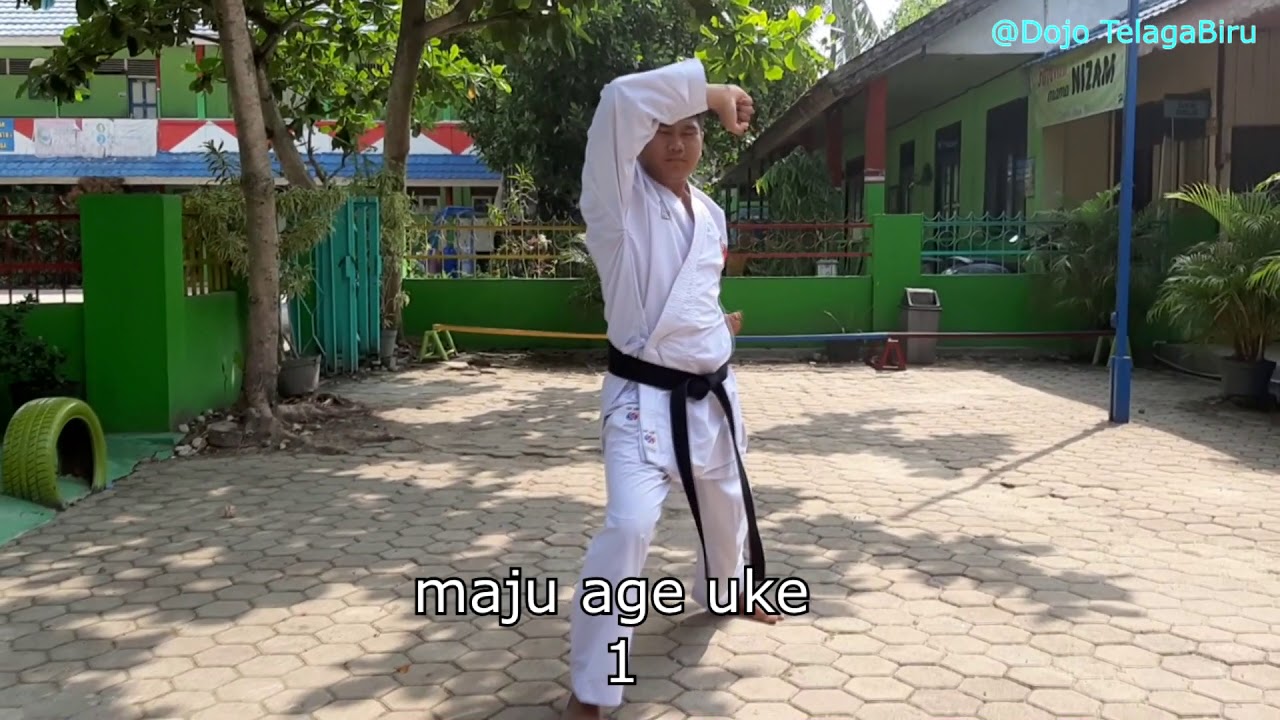 Belajar KATA 1 (Heian ShoDan) AUTO HAPAL!!!