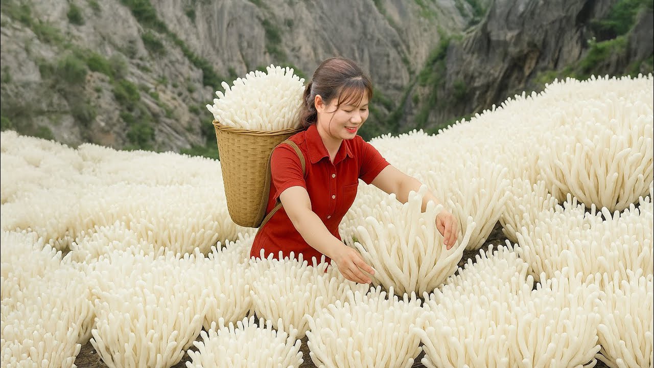 Colheita RARA de Cordyceps! Ela Encheu a Cesta e Vendeu Tudo no Mercado — Incrível de Ver!