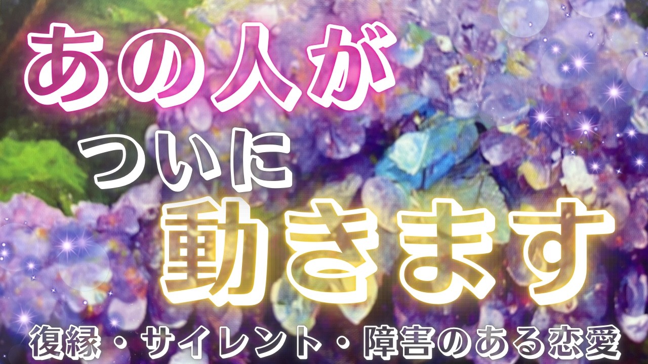 【感激🤗】あの人がついに動きます💗✨🕊恋愛・復縁・サイレント・曖昧・複雑恋愛【タロット・オラクル・ルノルマン】