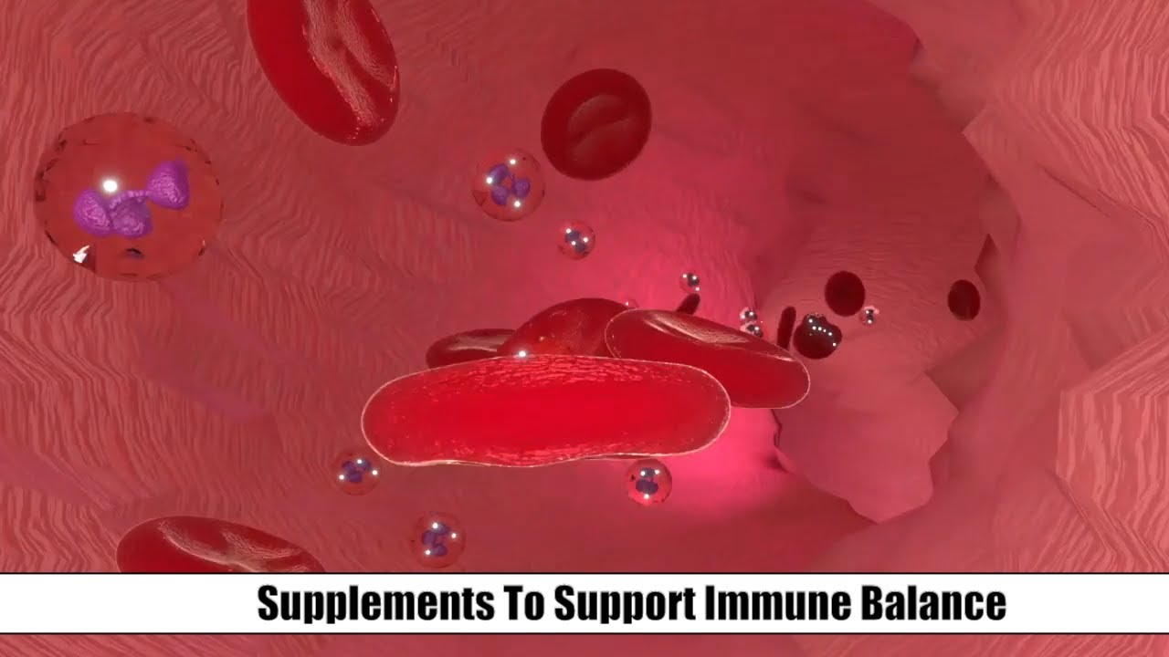 Here is How To Decrease Th2 Dominance