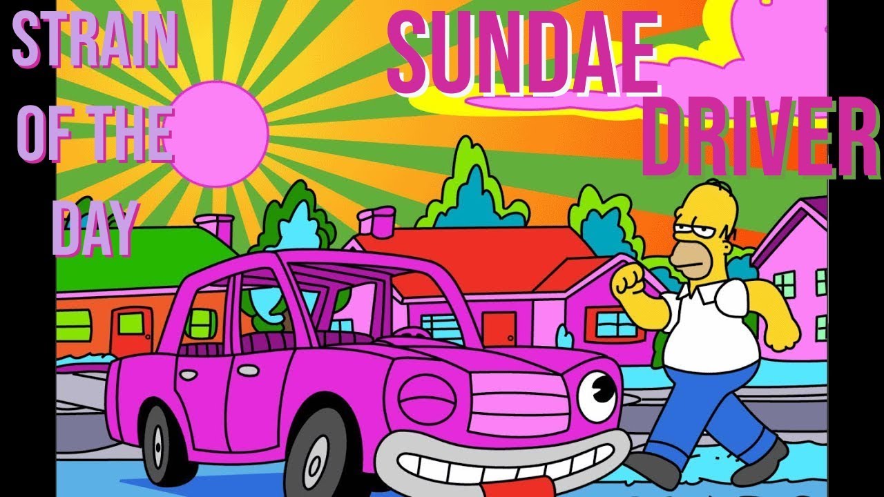Strain of the Day -  🍨Sundae Driver🚗