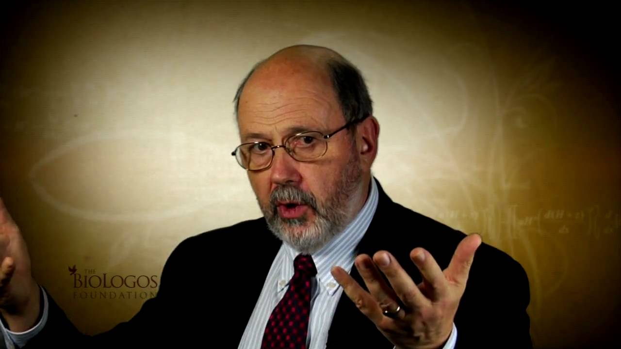 N.T. Wright on What It Means To Be An Image Bearer