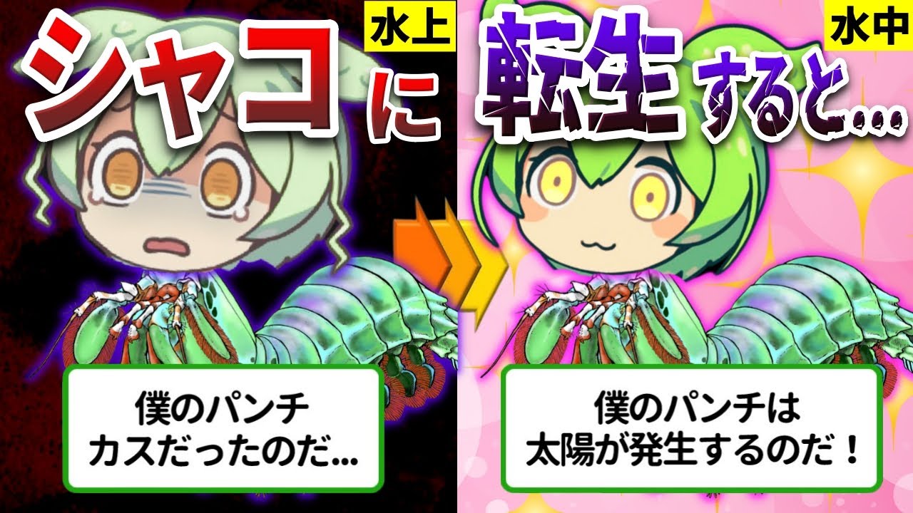 海底の破壊神シャコ！海水を沸騰させる究極のシャコパンチとは⁉【ずんだもん&ゆっくり解説】