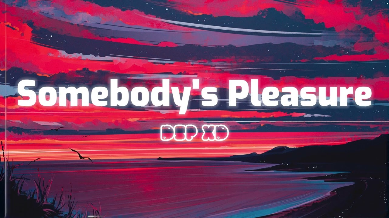 Aziz Hendra - Somebody's Pleasure (DSP XD Lofi Remix)