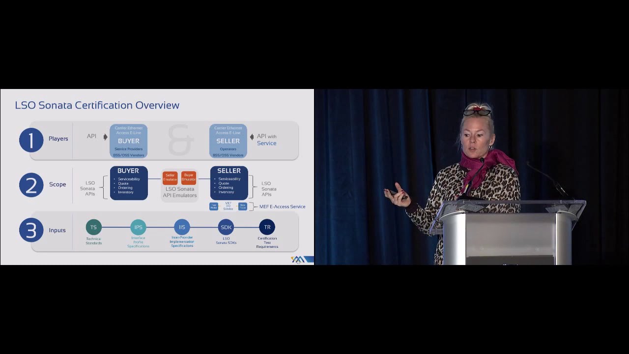 MEF 3.0 Workshop - MEF 3.0 LSO Sonata Certification