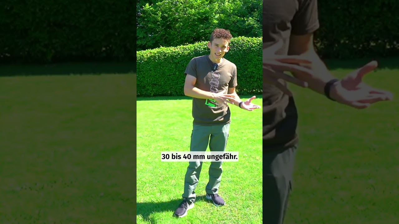 Was kann man gegen Ungr&auml;ser im Rasen machen? 👍 #gras #rasen #ungras #unkraut #gardening #lawn #fyp