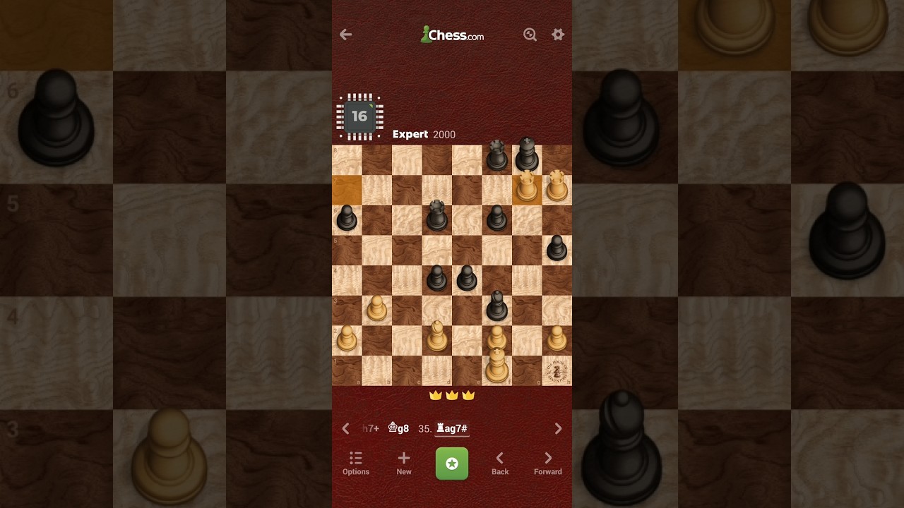 Chess Challenge Win vs. Bot/Engine 16 - Expert (2000) - chess.com - [3rd Win] - Game Review/Analysis