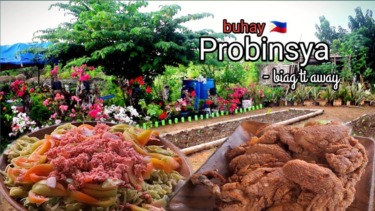 Another planting series | Simpleng ulam pero masarap | Ensaladang katuray | Biag ti Away | Epsd 70