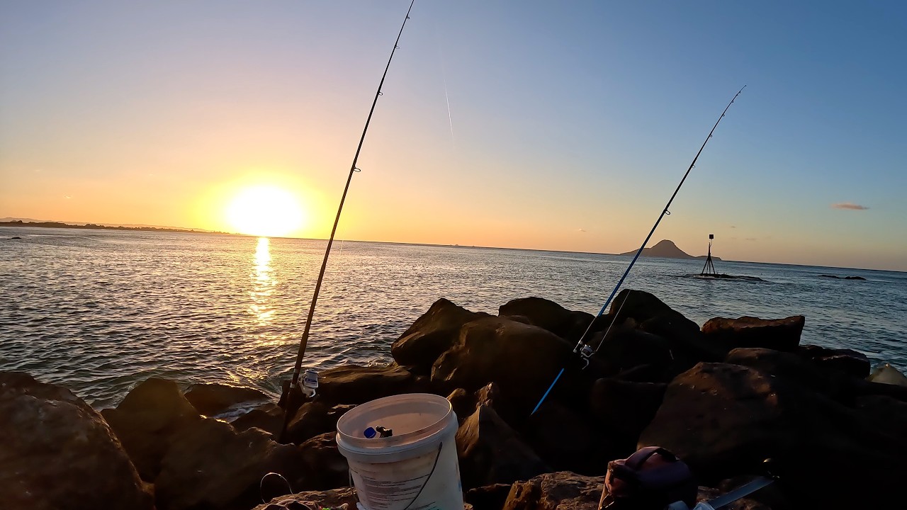Surfcasting Rods Are Out  - No Patience Fishing With Bait 😆