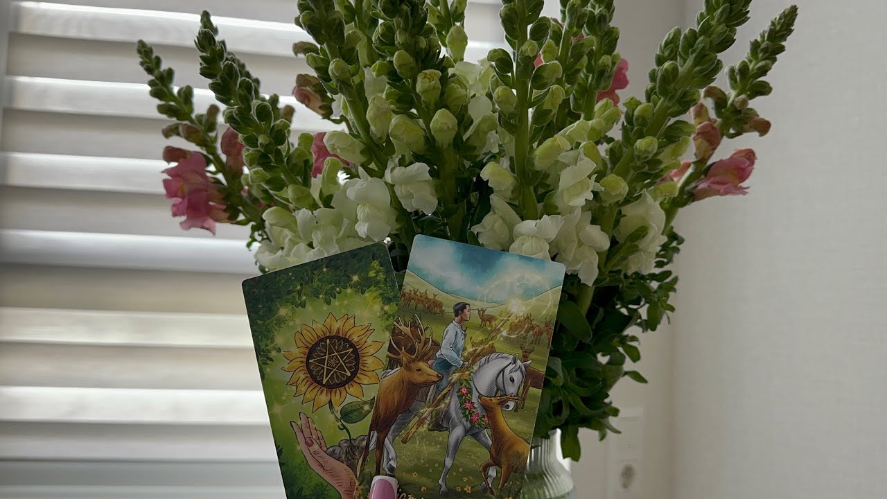 Его мысли после ссоры💬 Сделает ли он первый шаг к примирению❓