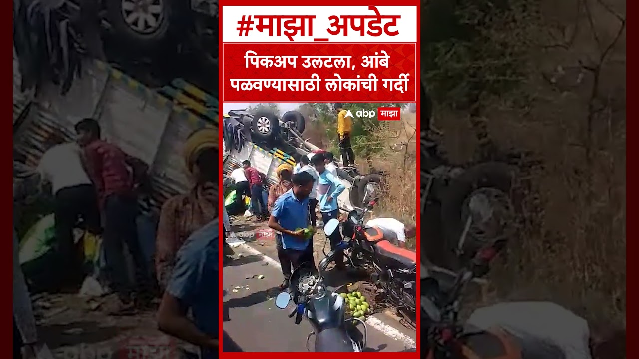 Washim Mango Video : पिकअप उलटला, आंबे पळवण्यासाठी लोकांची गर्दी
