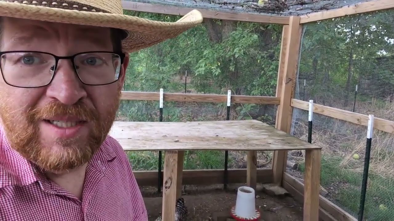 Central Texas Homestead Update 08-29-2025