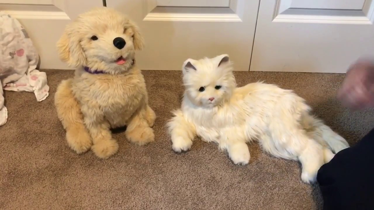 Joy For All Companion Pet Review! Meet Biscuit and Milky (Dog and Cat)