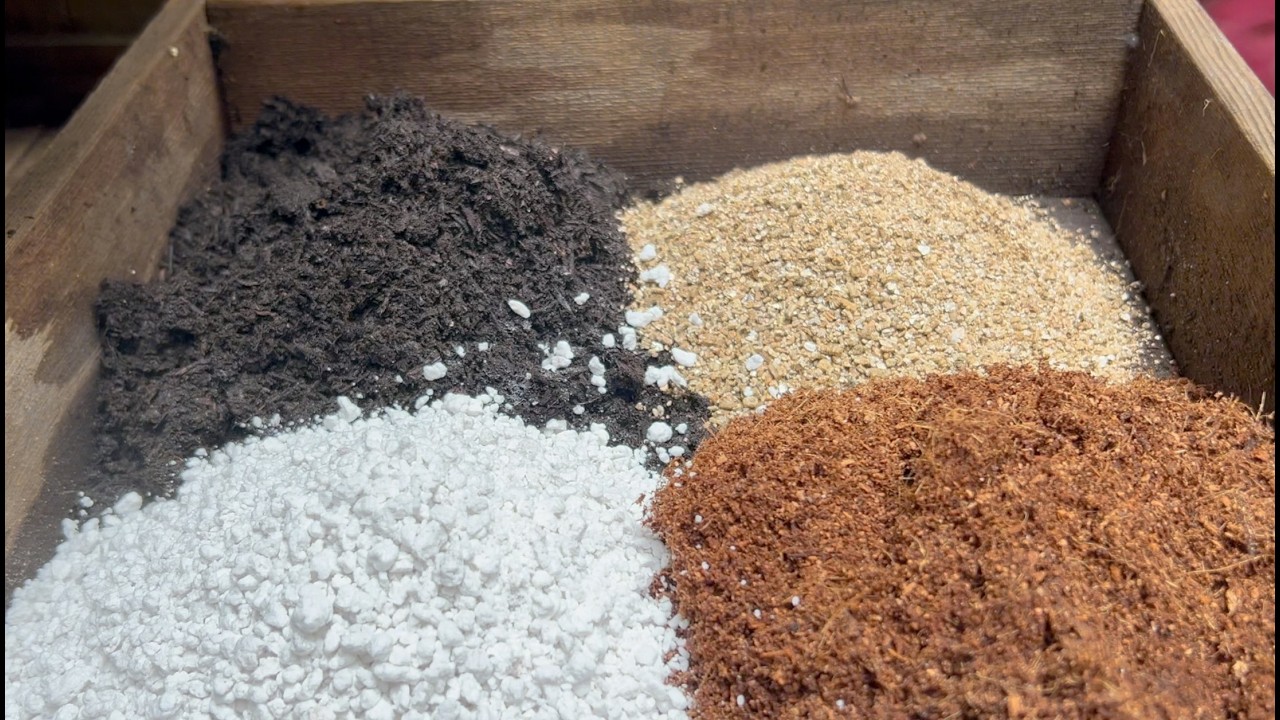 Starting Seeds: Simple and Inexpensive