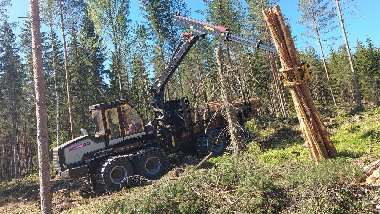 Logset 6f Mäntyaukolla