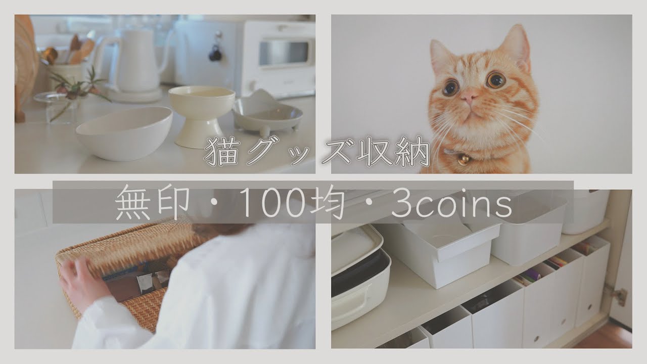 【猫グッズ収納】コスパのいいアイテムで整えるペット用品/100均・無印・3coins /猫と暮らし
