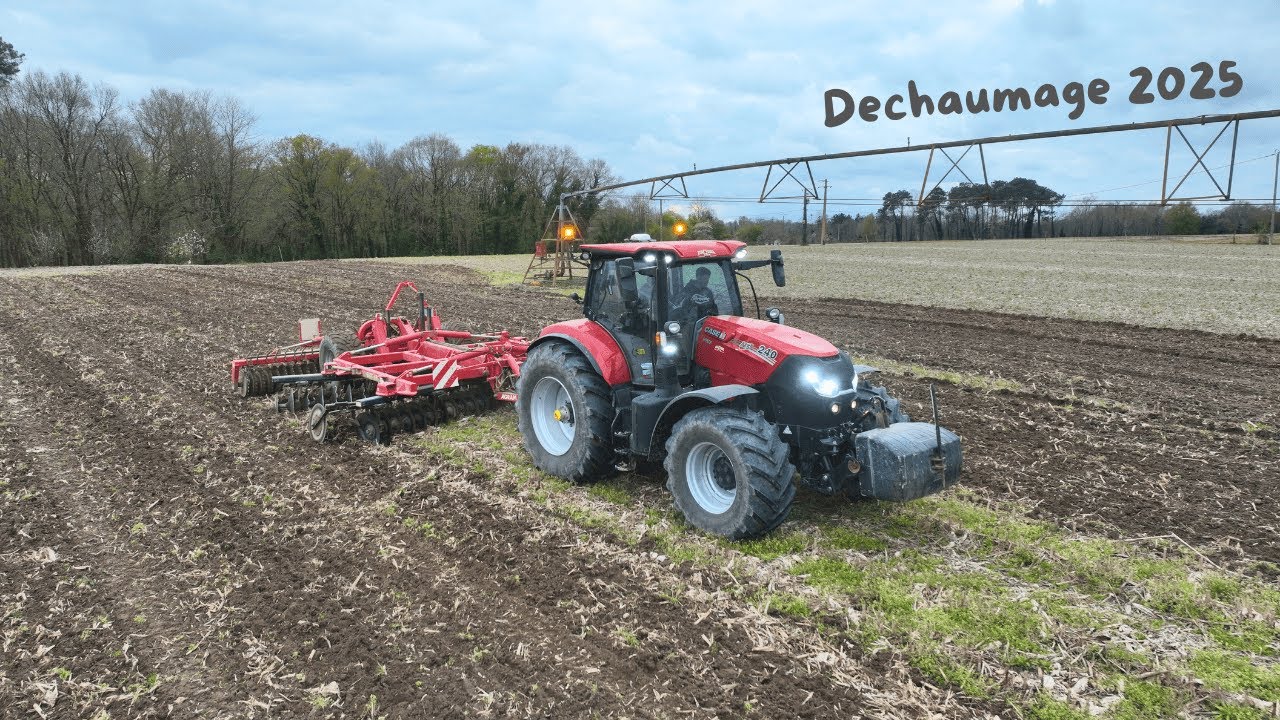 Déchaumage 2025 avec Case IH Puma 240