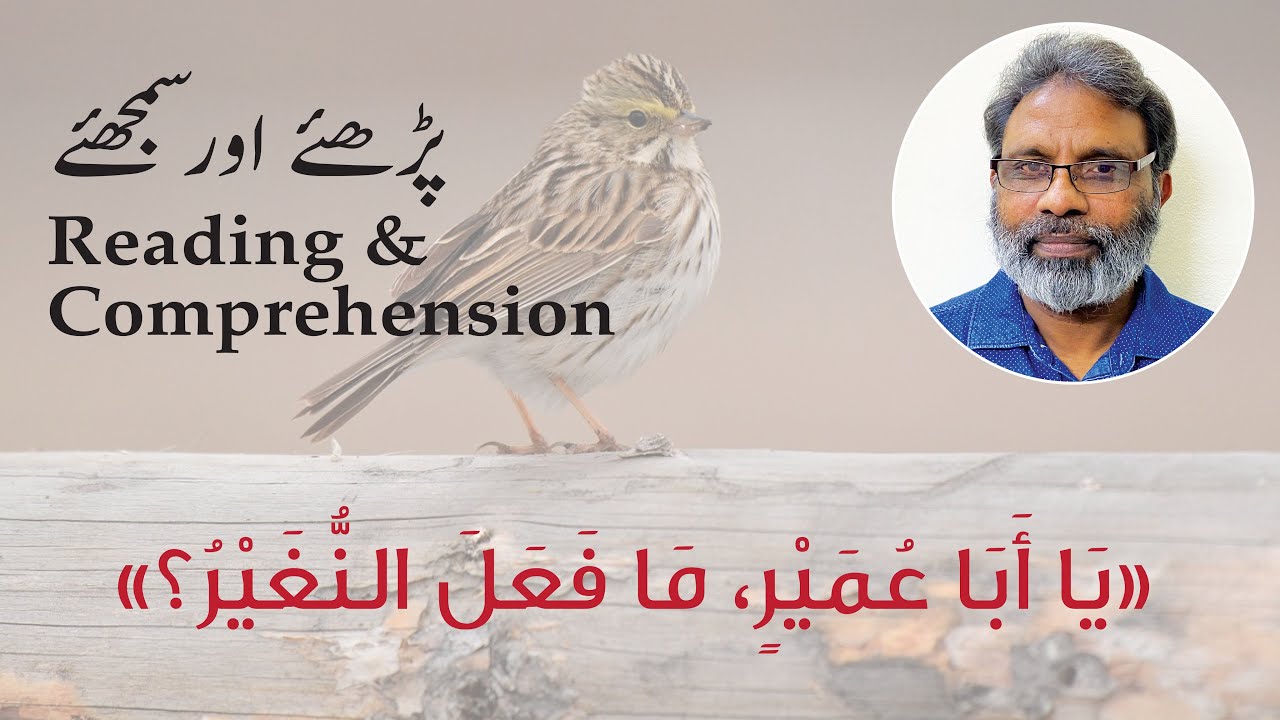 (11) Arabic Reading Practice عربی ریڈنگ پریکٹس