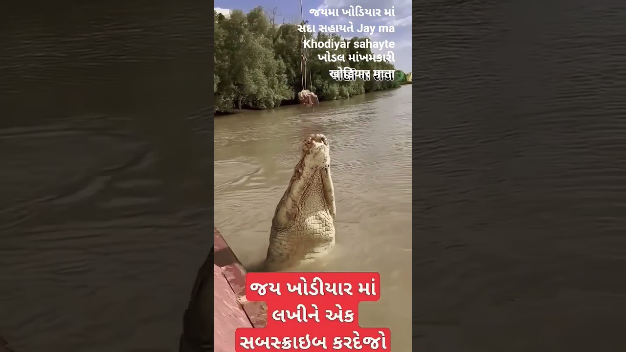 Jay ma Khodiyar sahayte Jay ma Khodiyar sahayte Khodal makhamakari #Khodal