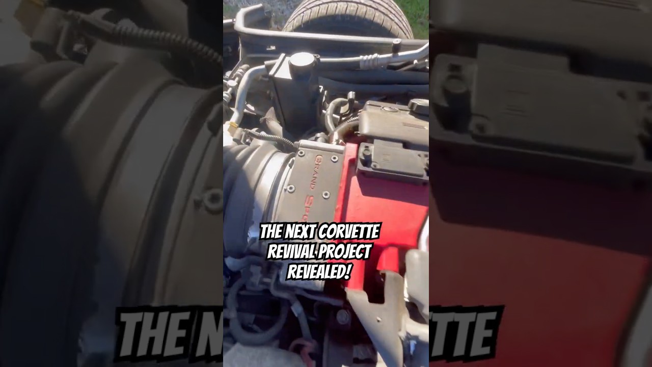 My next project car has arrived! 96 Corvette collectors edition needs some love! 