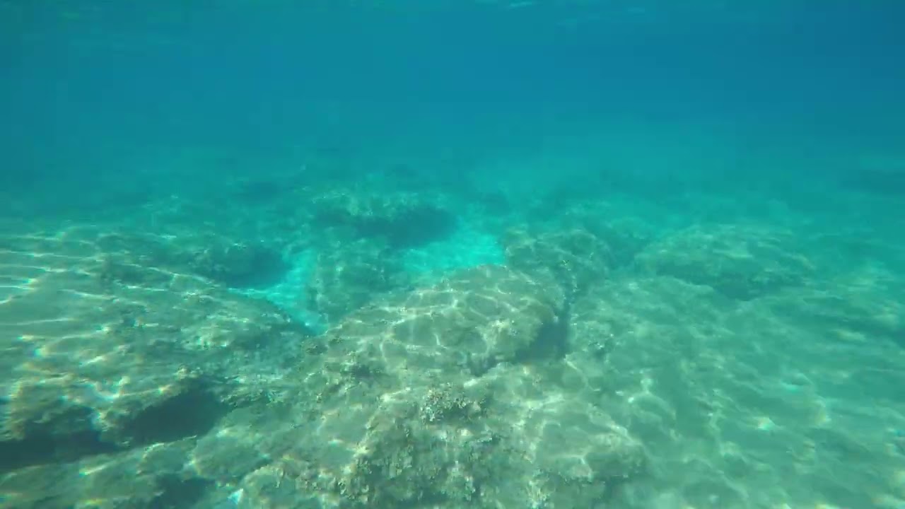 GOPR0222