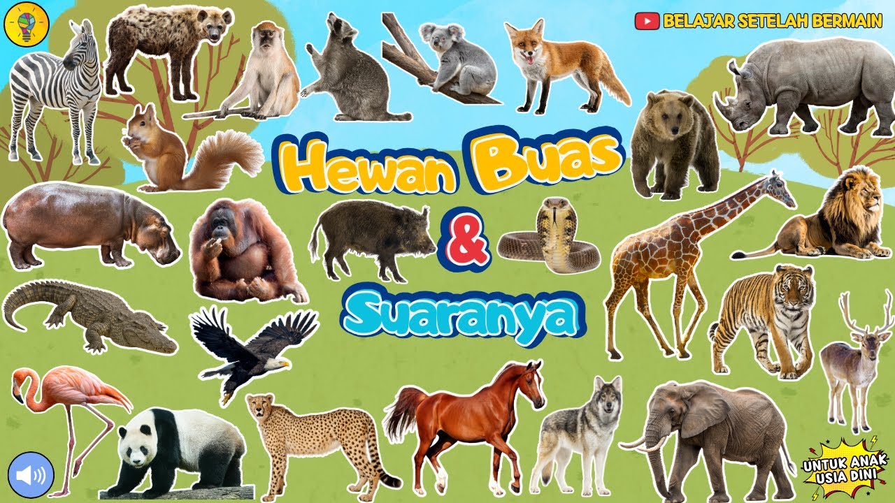 Belajar Mengenal Nama Hewan Buas dan Suaranya - Belajar Setelah Bermain