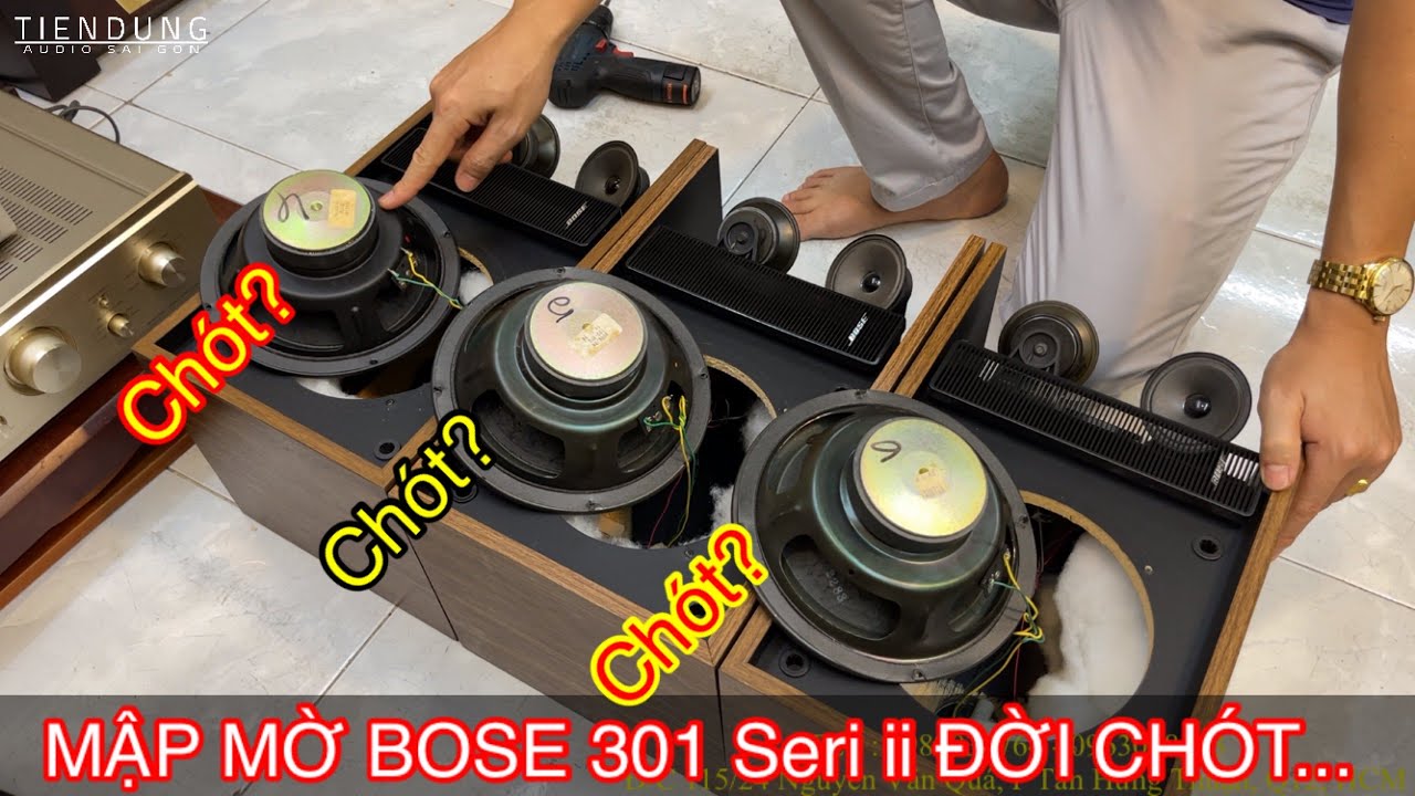 Mập mờ cách phân biệt loa BOSE 301 seri ii đời chót Tiến Dũng Audio Sài Gòn
