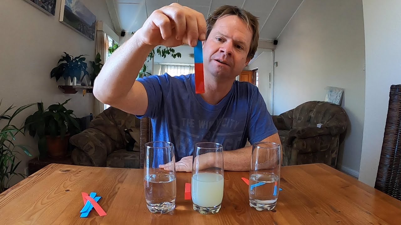 Acids and Bases: The Litmus Test (Activity 3)