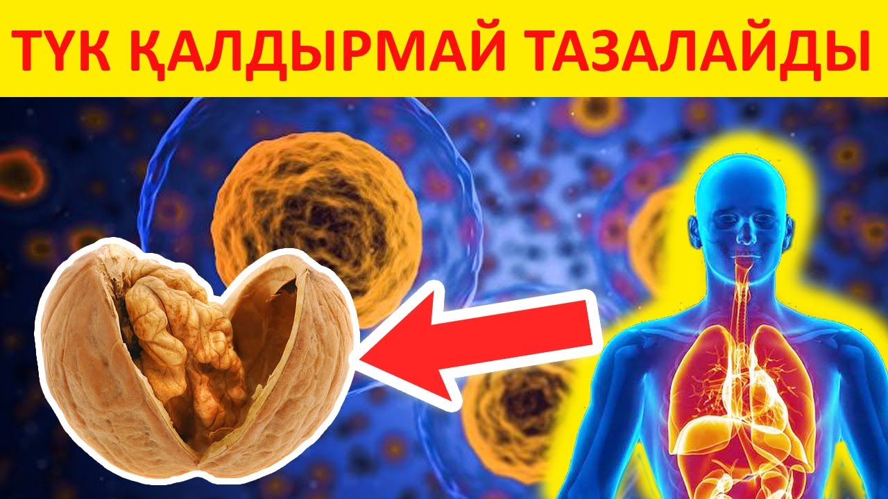 2 Жаңғақпен ағзаңызды 1 айда тазартыңыз, Қалай жеу керек, Толық айтамыз, Керек арнасы