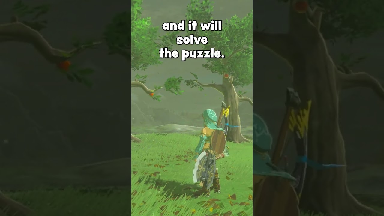 99% игроков BotW не знают об этом трюке Korok