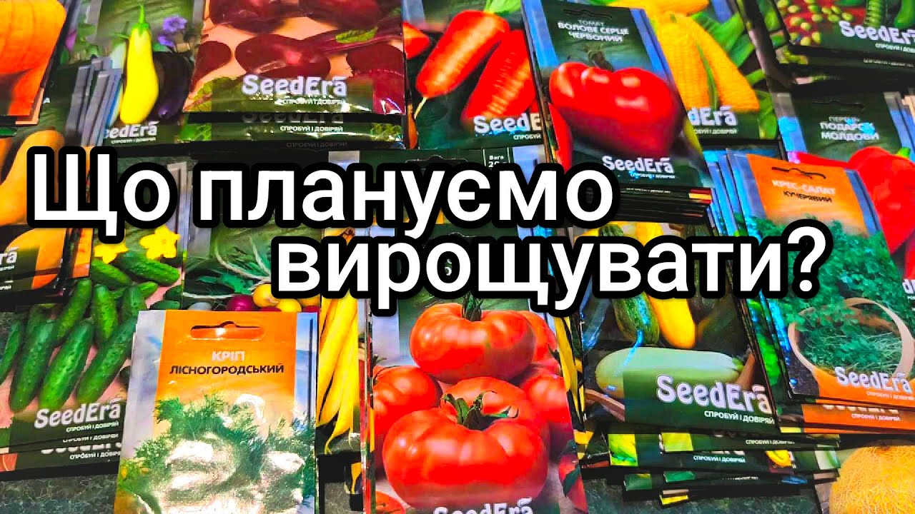 Огляд насіння на майбутній сезон
