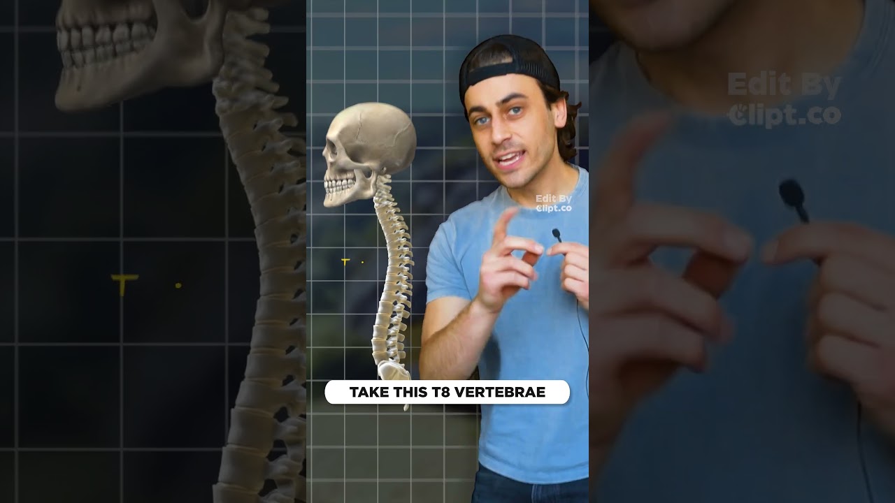 Why does your back always hurt??