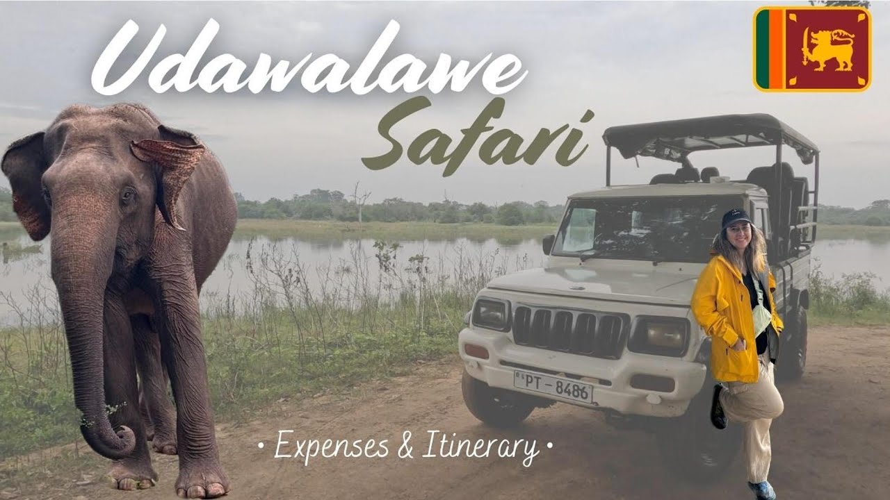 Solo Safari in Udawalawe + Budget Breakdown!  How Much Does Sri Lanka Cost? | Ep  8
