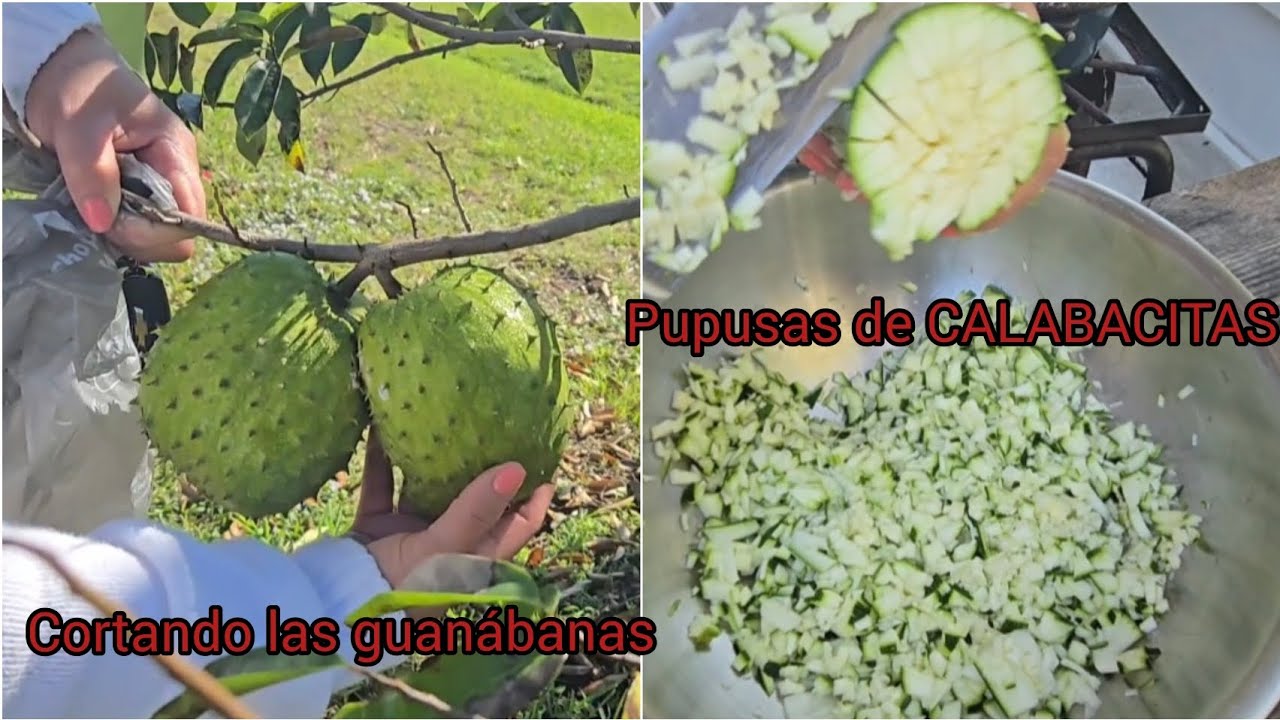 Pupusas de CALABACITAS y de chicharrón 🤤 