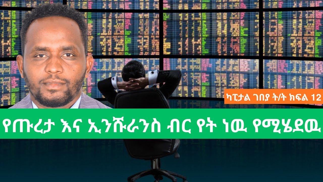 የጡረታ እና ኢንሹራንስ ሚና በካፒታል ገበያ ዉስጥ/  Capital Market Amharic Course Episode 12/